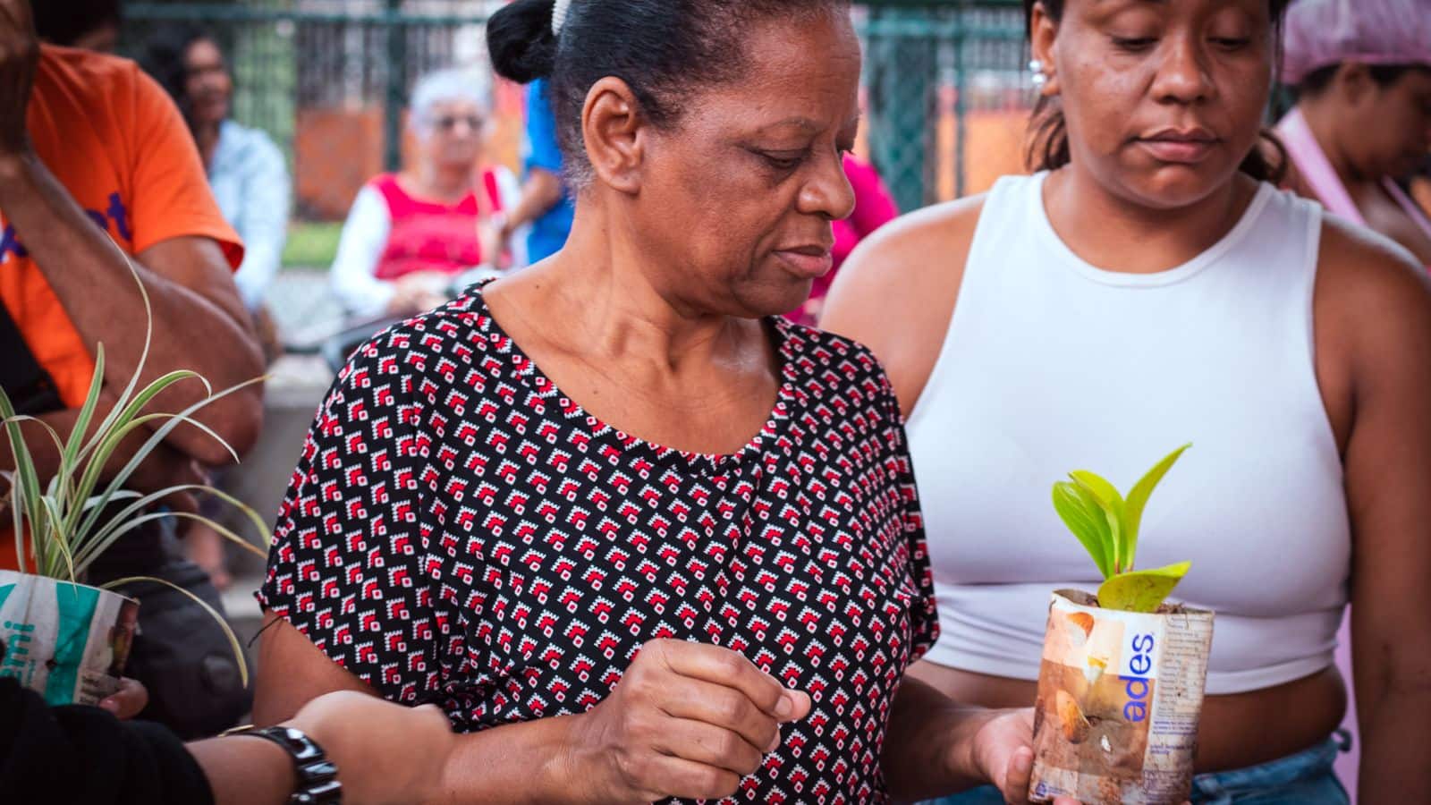 Duas mulheres numa ação ao ar livre; uma delas segura uma muda de planta num pote feito de caixa de suco reaproveitada.