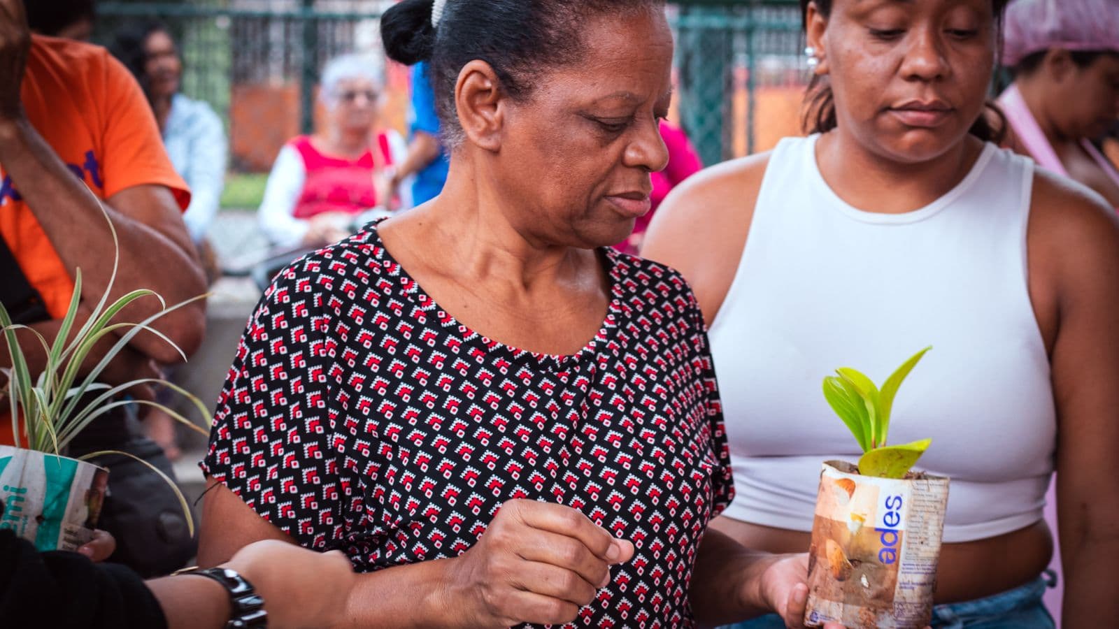 Duas mulheres numa ação ao ar livre; uma delas segura uma muda de planta num pote feito de caixa de suco reaproveitada.